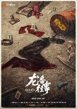法医秦明之龙番往事高清海报