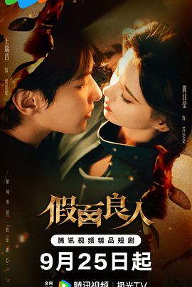 假面良人高清海报
