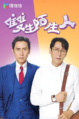 双生陌生人高清海报