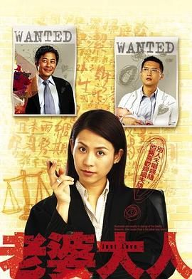 老婆大人高清海报