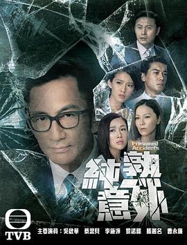 纯熟意外高清海报