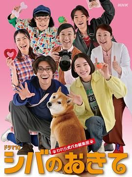 柴犬的规矩我们这群狗痴编辑部高清海报