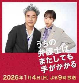我家的律师又惹麻烦了特别篇高清海报