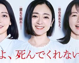 老公啊，你能去死吗高清海报