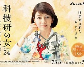 科搜研之女 第24季高清海报