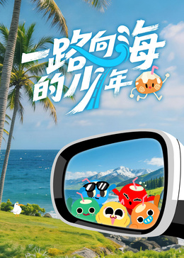 一路向海的少年高清海报