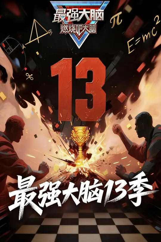 最强大脑 第十三季高清海报