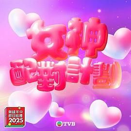 女神配对计划高清海报