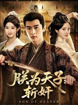 朕为天子：斩奸高清海报