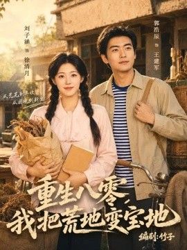 重生八零，我把荒地变宝地高清海报