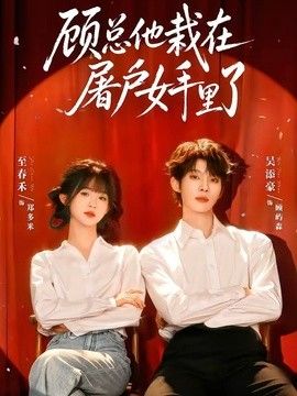 顾总他栽在屠户女手里了高清海报