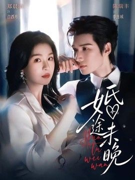 婚途未晚高清海报