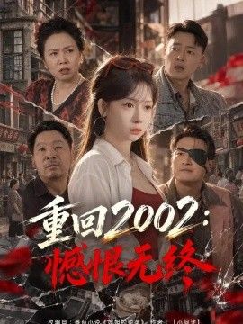 重回2002：憾恨无终高清海报
