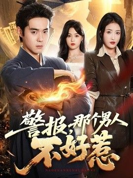 警报，那个男人不好惹高清海报