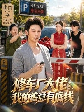 修车厂大佬：我的善意有底线高清海报