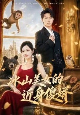 冰山美女的近身傻婿高清海报