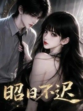 昭日不迟高清海报