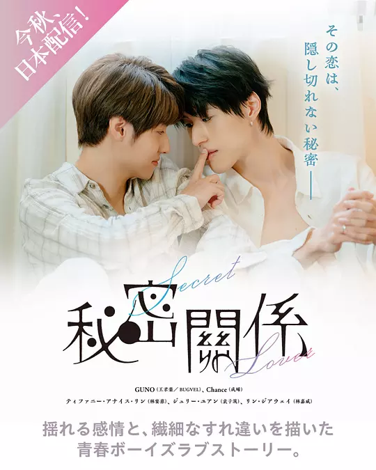 秘密关系高清海报