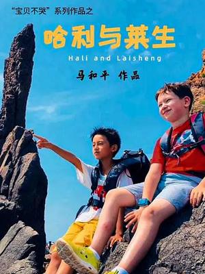 哈利与莱生高清海报
