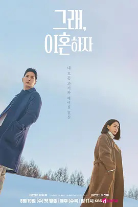 好，我们离婚吧高清海报