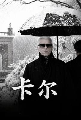 卡尔高清海报
