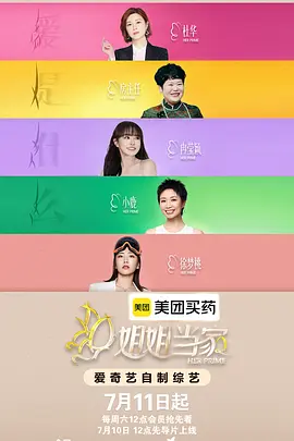 姐姐当家2高清海报