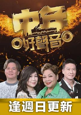 中年好声音 中年好聲音高清海报