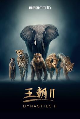 王朝第二季高清海报