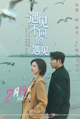 遇见不同的遇见高清海报