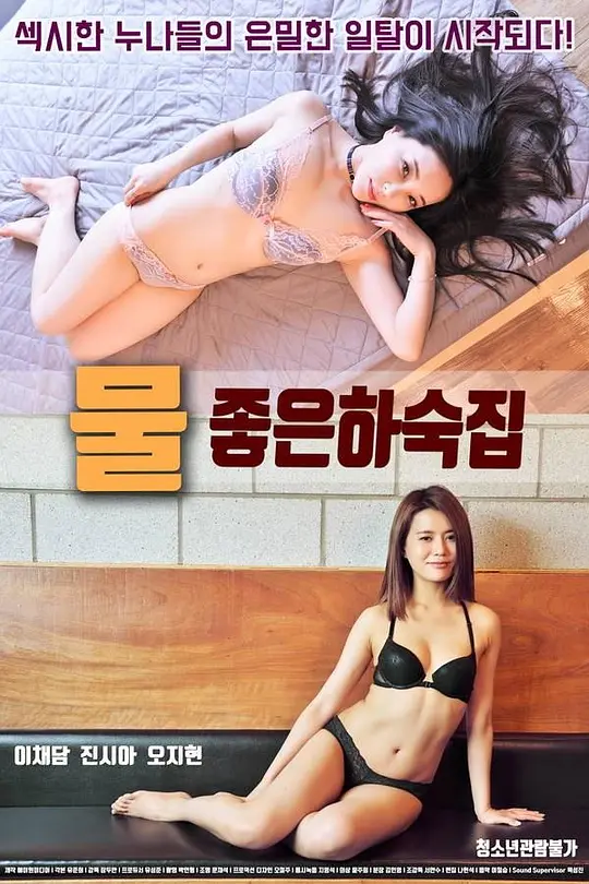 漂亮女客栈高清海报