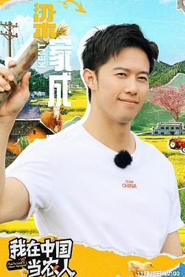 我在中国当农人高清海报