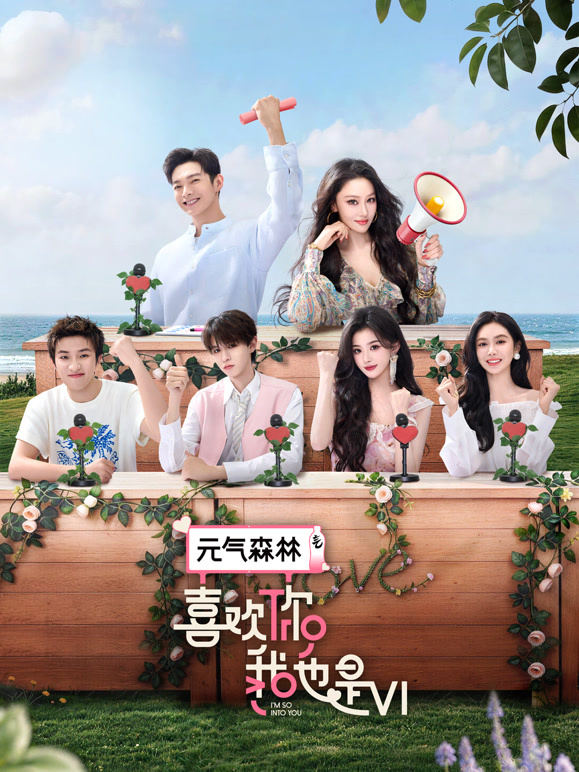 喜欢你我也是 第六季高清海报