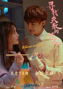 寻找消失的恋人高清海报