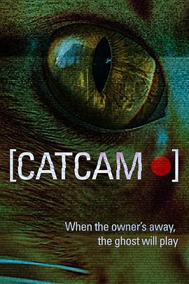 猫咪摄像头高清海报