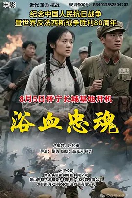 浴血忠魂高清海报
