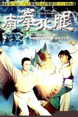 南拳北腿粤语高清海报