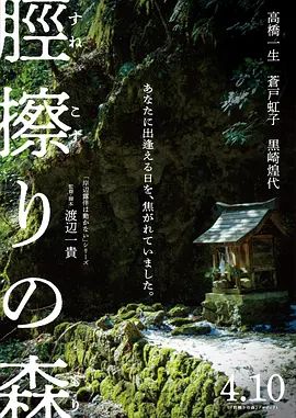 胫擦之森高清海报