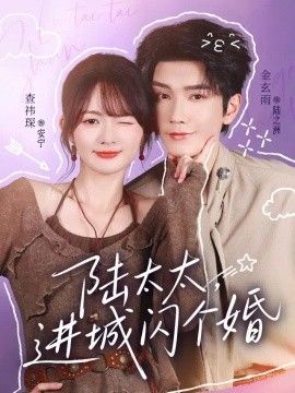 陆太太，进城闪个婚高清海报