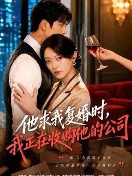 他求我复婚时，我正在收购他的公司高清海报