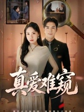 真爱难窥高清海报