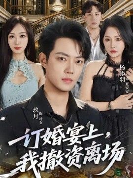 订婚宴上，我撤资离场高清海报
