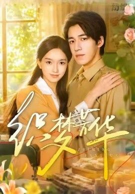 织梦芳华高清海报