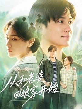 从和老婆回娘家开始高清海报