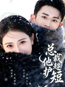 总裁他超护短高清海报