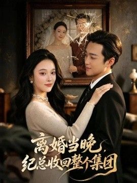 离婚当晚，纪总收回整个集团高清海报