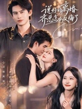 说好的离婚齐总怎么反悔了高清海报