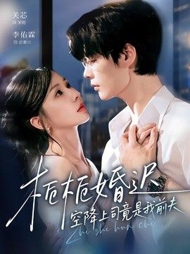 栀栀婚迟，空降上司竟是我前夫高清海报