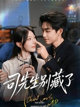 司先生别藏了高清海报