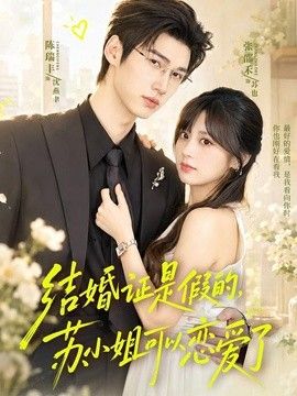 结婚证是假的，苏小姐可以恋爱了高清海报