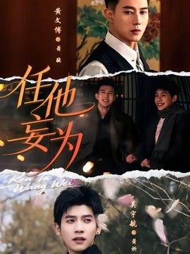 任他妄为高清海报